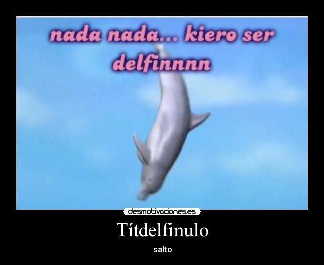carteles delfin desmotivaciones