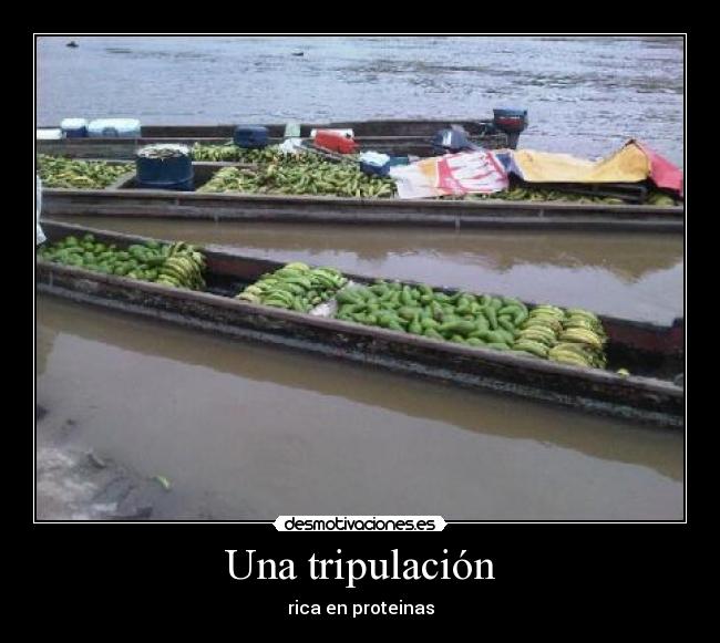 Una tripulación - rica en proteinas