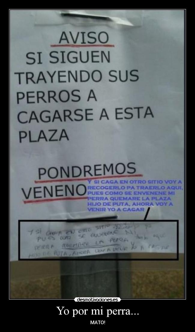 Yo por mi perra... - MATO!
