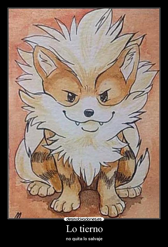 carteles dedicado todas las locas que creen que soy tierno desmotivaciones