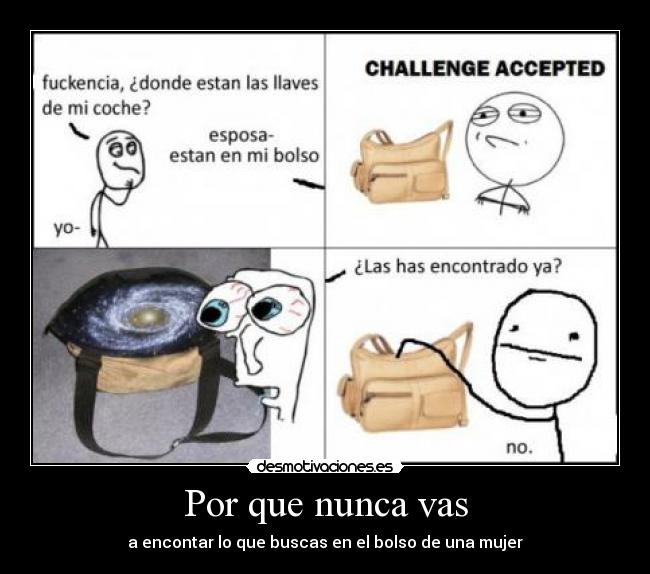 carteles bolso mujer desmotivaciones