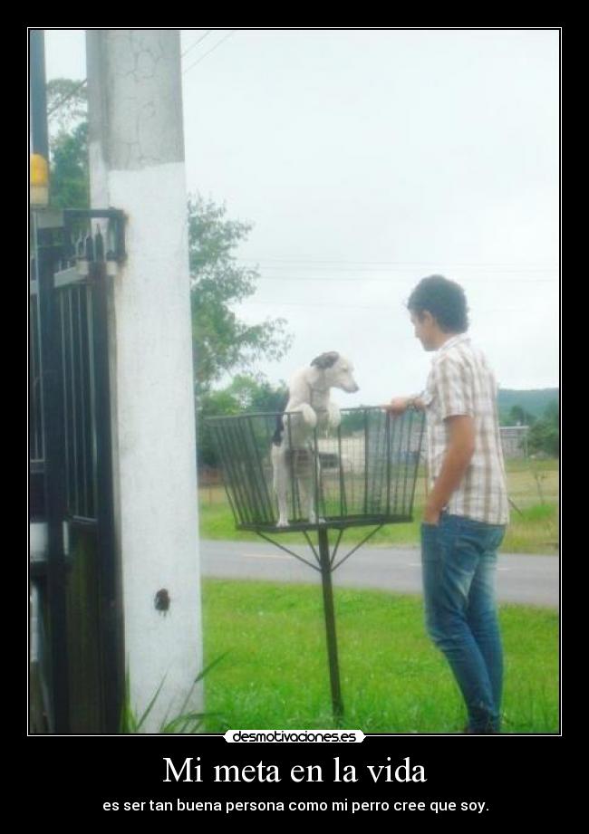 Mi meta en la vida - 