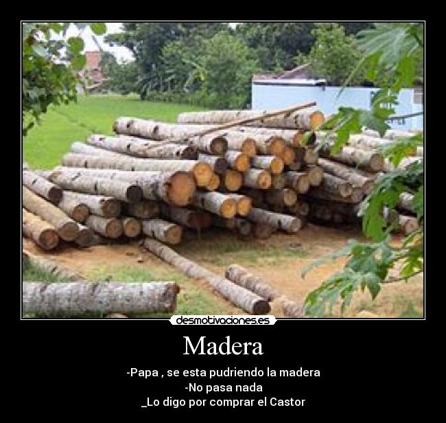 Madera - -Papa , se esta pudriendo la madera
-No pasa nada
_Lo digo por comprar el Castor