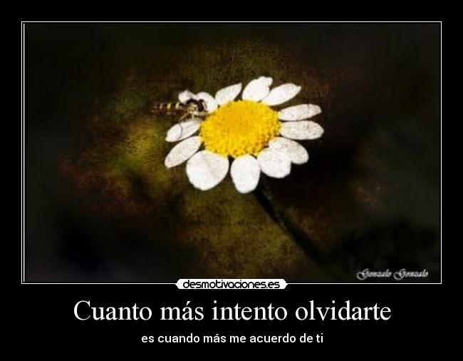 Cuanto más intento olvidarte - es cuando más me acuerdo de ti