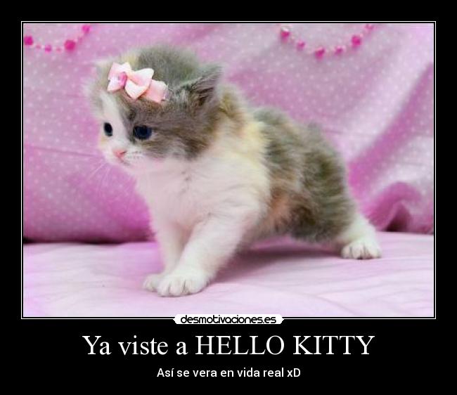 Ya viste a HELLO KITTY - Así se vera en vida real xD