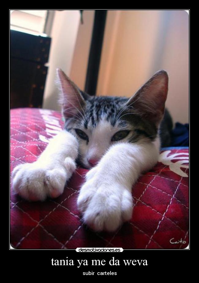 tania ya me da weva - 