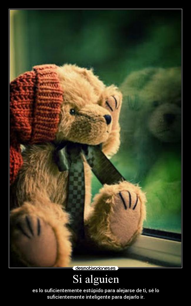 Si alguien - es lo suficientemente estúpido para alejarse de ti, sé lo
suficientemente inteligente para dejarlo ir.