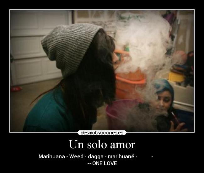 Un solo amor -