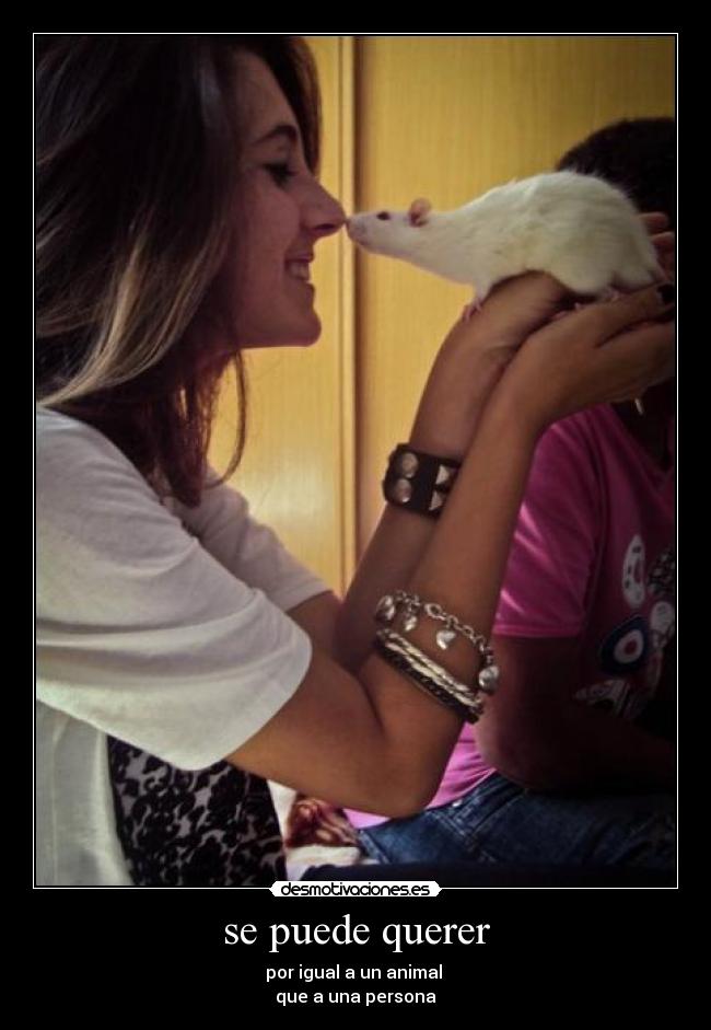 se puede querer - por igual a un animal 
que a una persona