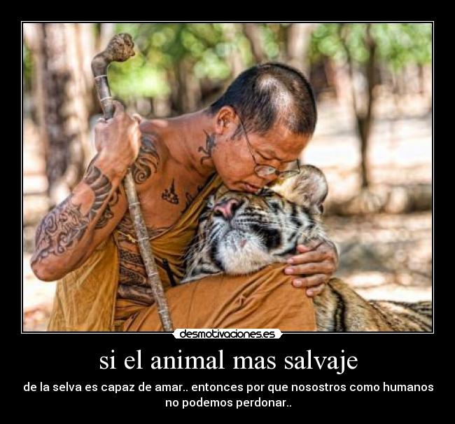 si el animal mas salvaje - 