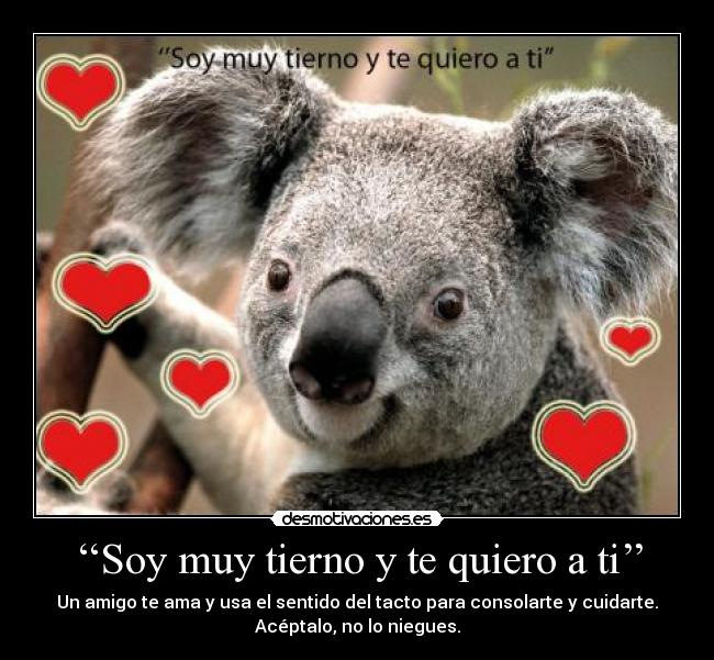 ‘‘Soy muy tierno y te quiero a ti’’ - Un amigo te ama y usa el sentido del tacto para consolarte y cuidarte.
Acéptalo, no lo niegues.