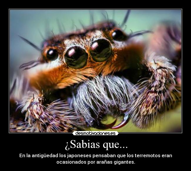 ¿Sabias que... - En la antigüedad los japoneses pensaban que los terremotos eran
ocasionados por arañas gigantes.