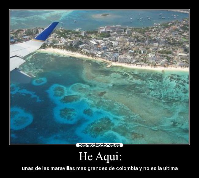 carteles luisa fernanda gutierrez betancur desmotivaciones