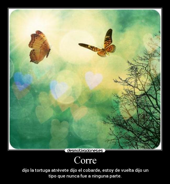 Corre - dijo la tortuga atrévete dijo el cobarde, estoy de vuelta dijo un
tipo que nunca fue a ninguna parte.