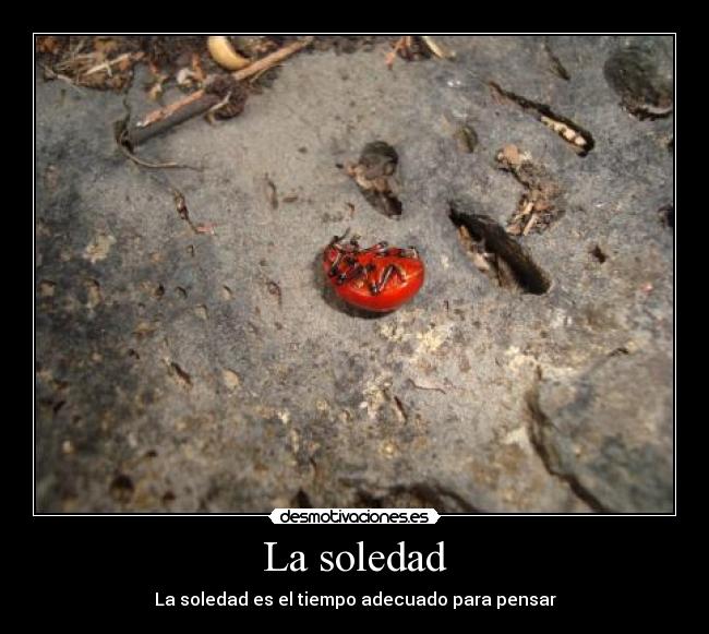 La soledad - 