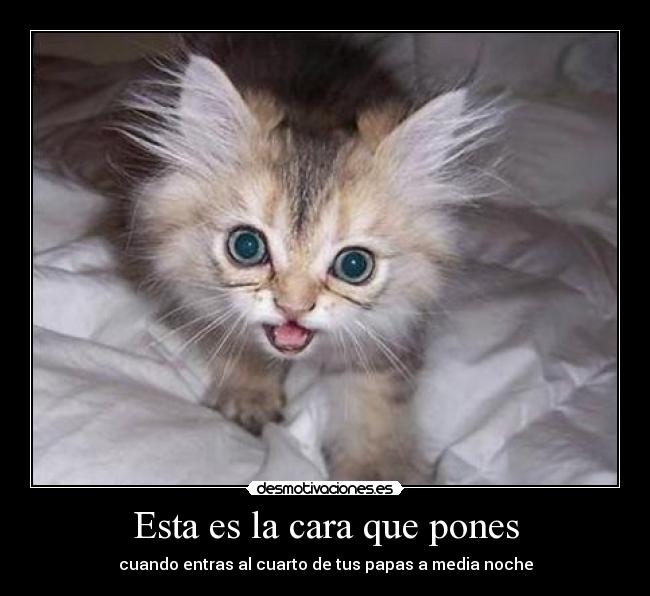 Esta es la cara que pones - cuando entras al cuarto de tus papas a media noche
