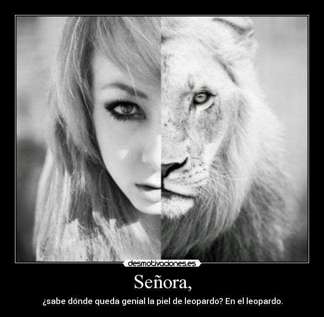 Señora, - ¿sabe dónde queda genial la piel de leopardo? En el leopardo.