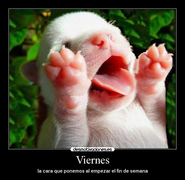 Viernes - la cara que ponemos al empezar el fin de semana