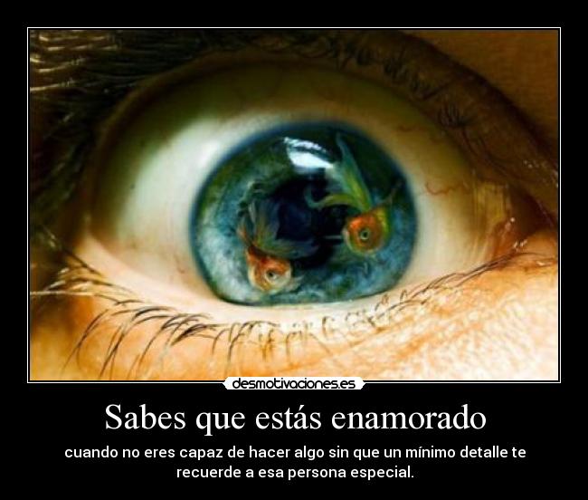 carteles quiero pecito mio desmotivaciones