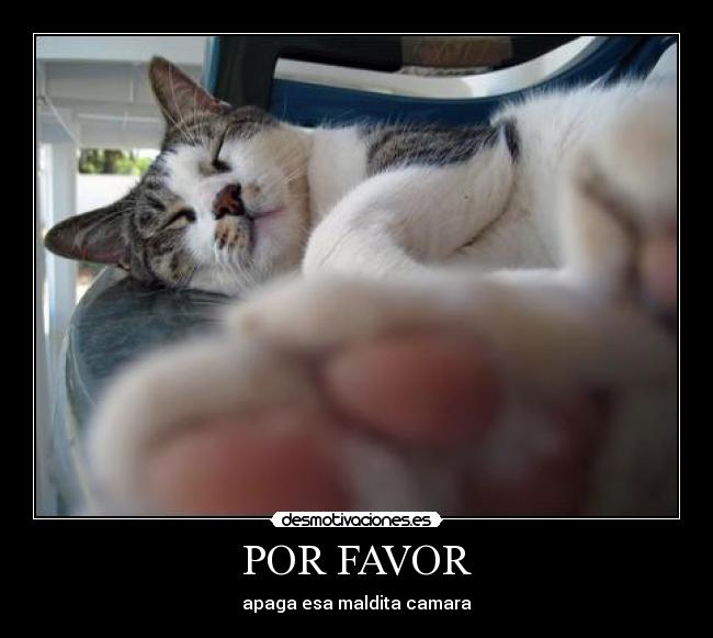 carteles juju desmotivaciones