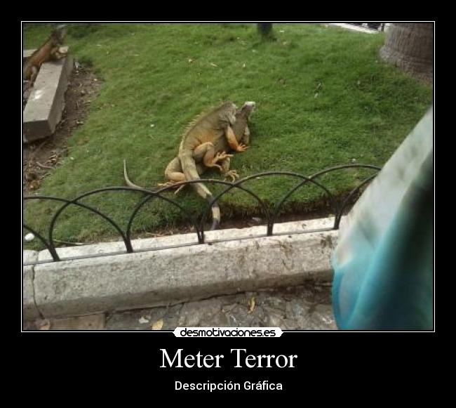 carteles descripcion grafica desmotivaciones