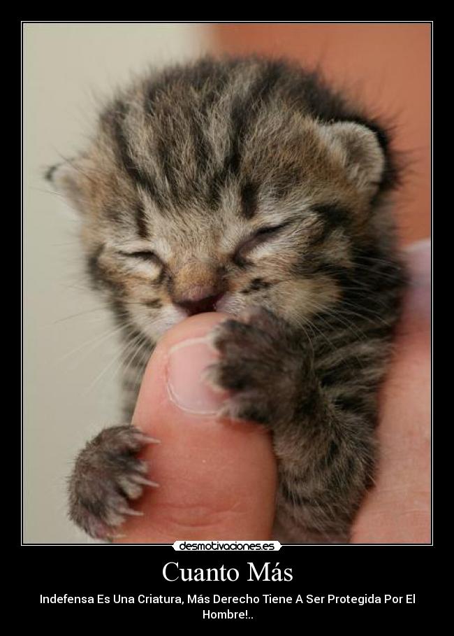 Cuanto Más - Indefensa Es Una Criatura, Más Derecho Tiene A Ser Protegida Por El Hombre!..