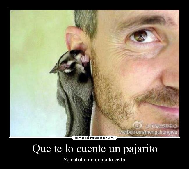 Que te lo cuente un pajarito - Ya estaba demasiado visto