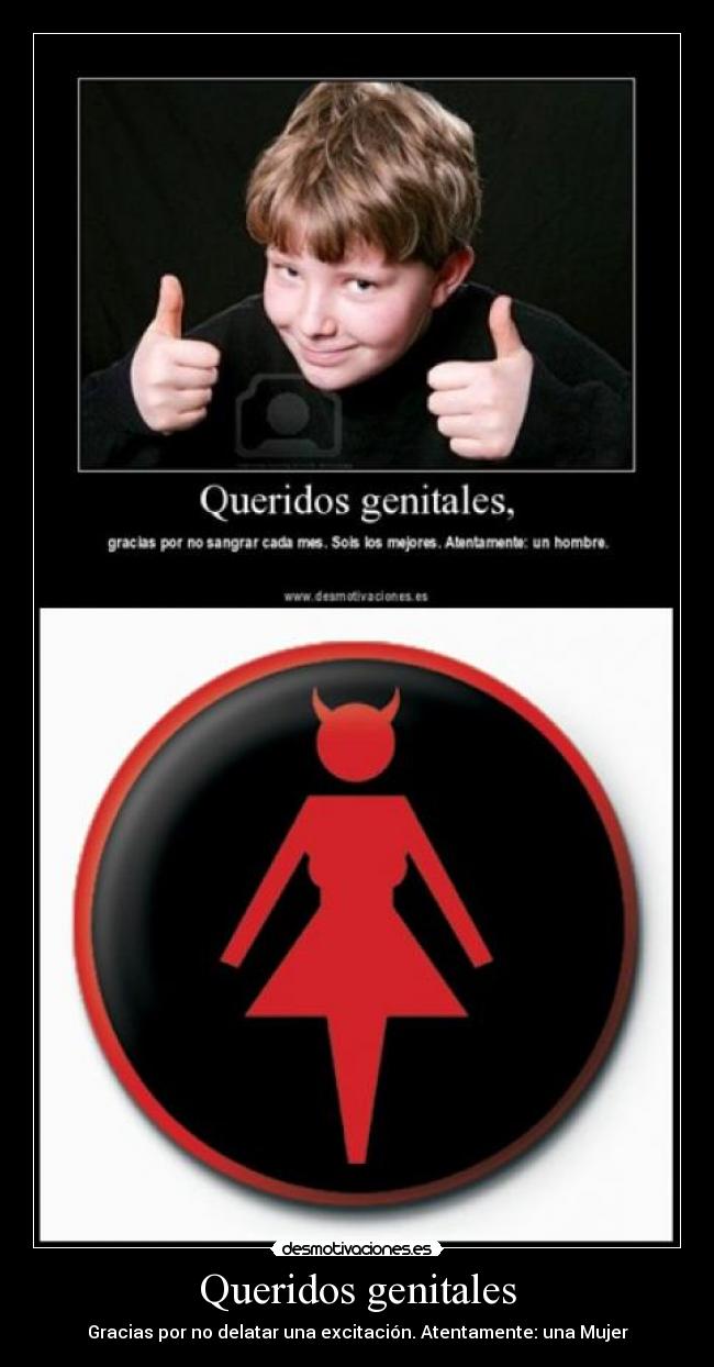 Queridos genitales - 