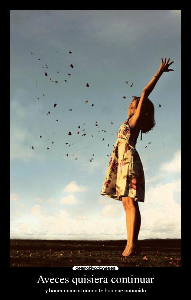 Aveces quisiera continuar - y hacer como si nunca te hubiese conocido