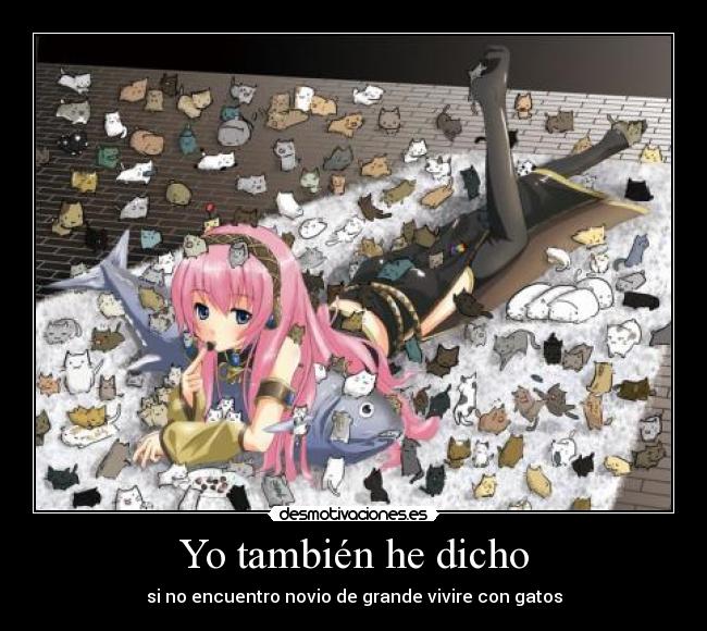 Yo también he dicho -