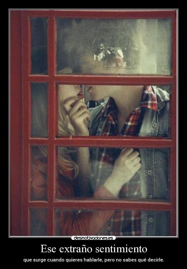 carteles yajaira desmotivaciones