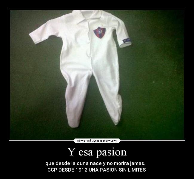 carteles eduardo sayas desmotivaciones