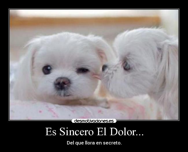 Es Sincero El Dolor... - 