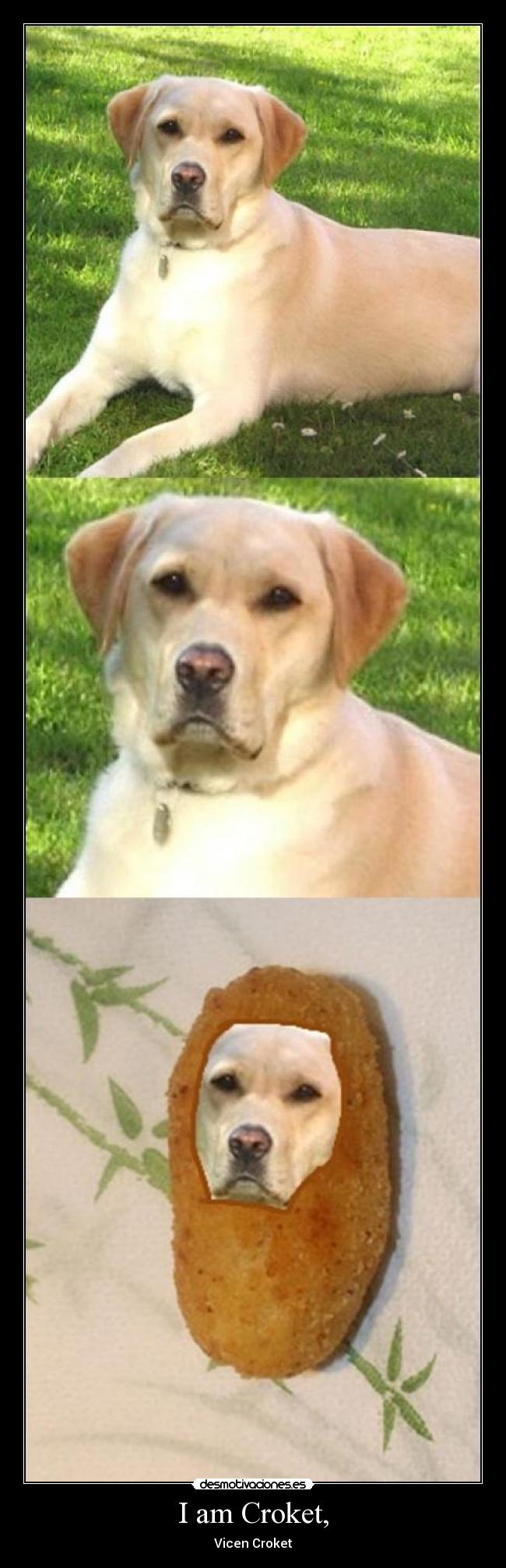 I am Croket, - Vicen Croket