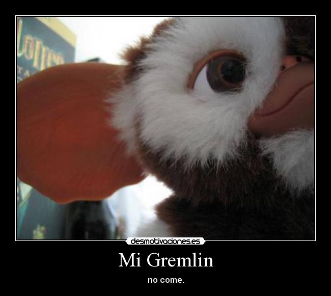Mi Gremlin - no come.