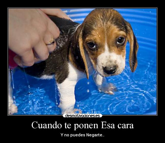 Cuando te ponen Esa cara - 