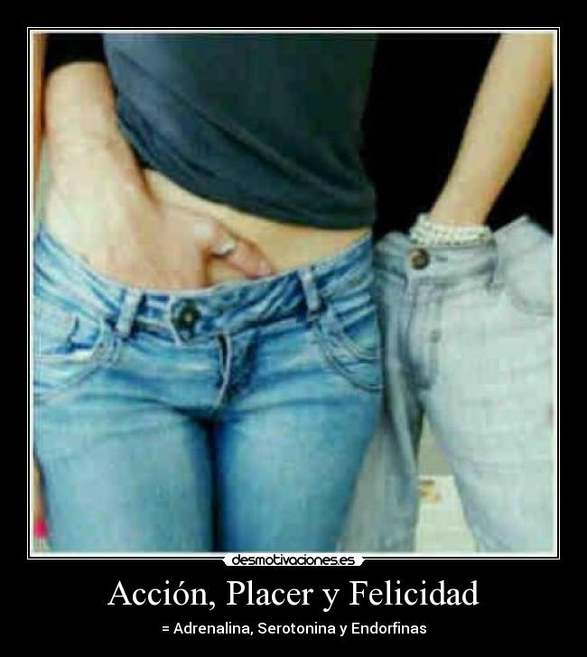 Acción, Placer y Felicidad - = Adrenalina, Serotonina y Endorfinas