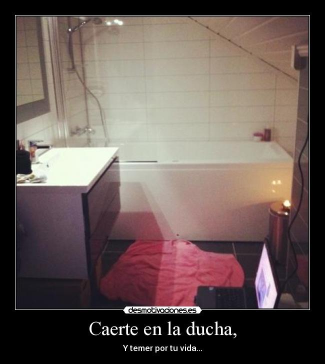 carteles lauritadesmotivada gabryseisnueve clanvahipene desmotivaciones