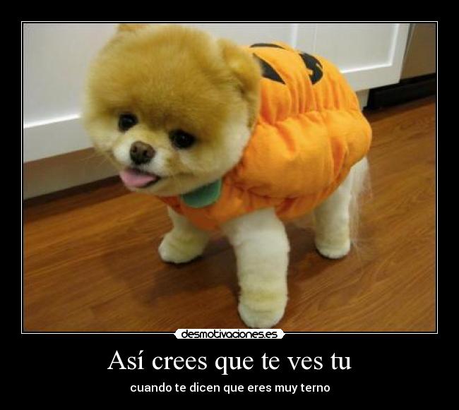 Así crees que te ves tu - cuando te dicen que eres muy terno