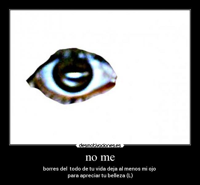 carteles borres desmotivaciones