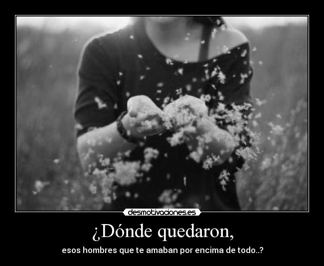 ¿Dónde quedaron, - 