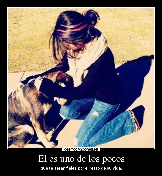 carteles desmotivaciones