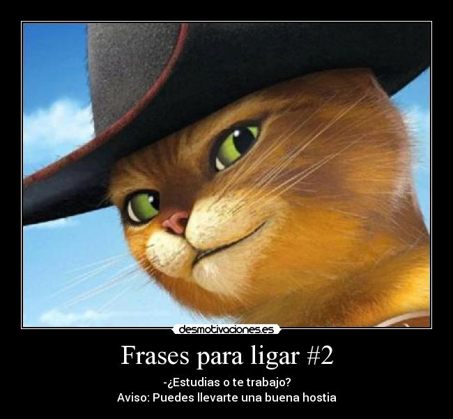 Frases para ligar #2 - 