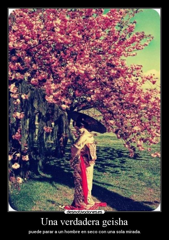 Una verdadera geisha - puede parar a un hombre en seco con una sola mirada.