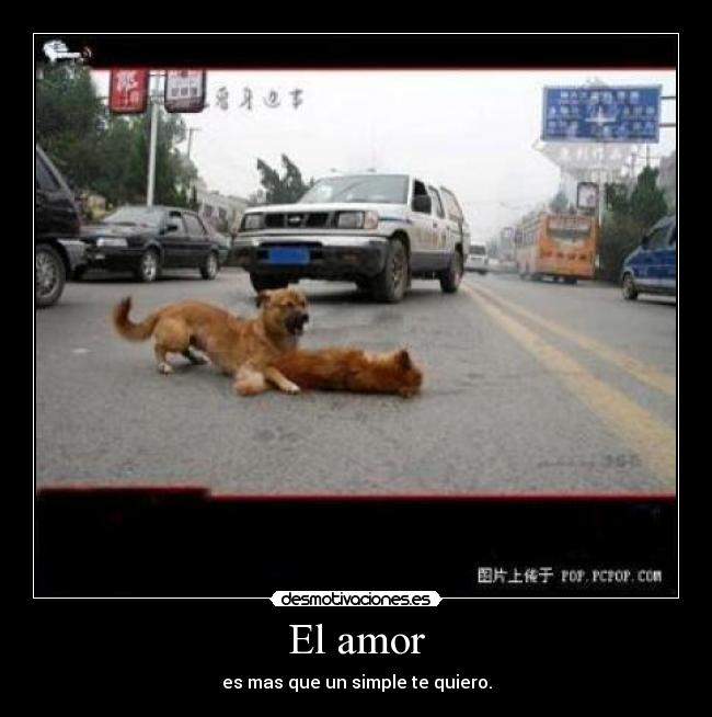 El amor -