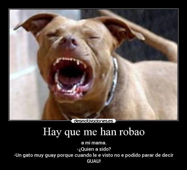Hay que me han robao - a mi mama.
-¿Quien a sido?
-Un gato muy guay porque cuando le e visto no e podido parar de decir GUAU!