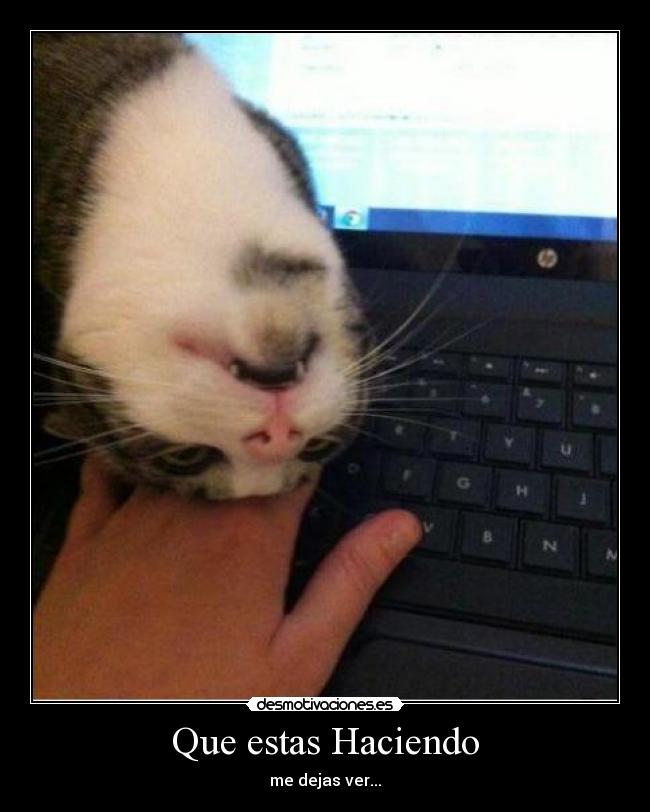 Que estas Haciendo - me dejas ver...