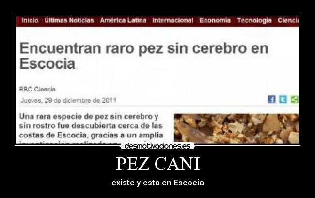 PEZ CANI - existe y esta en Escocia