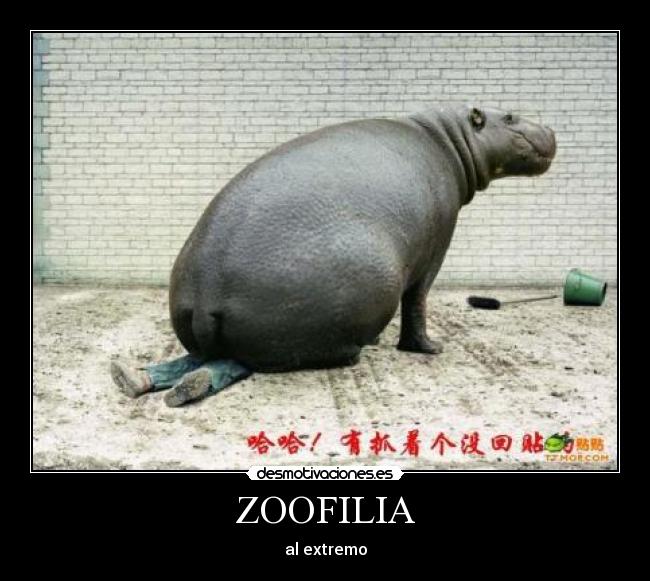 carteles sobre gustos hay nada escrito desmotivaciones