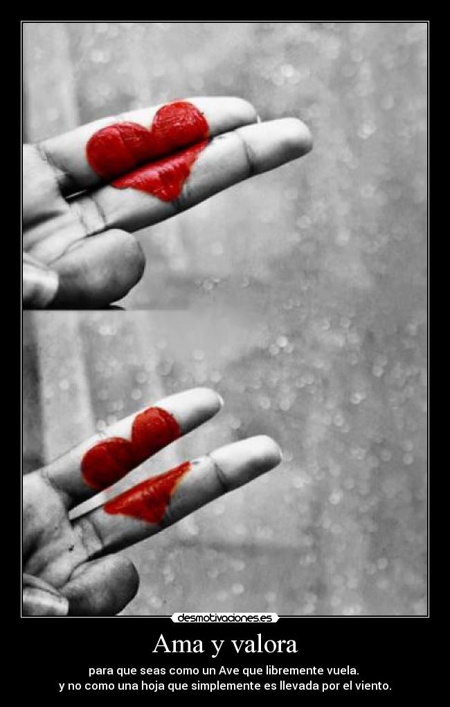 Ama y valora - para que seas como un Ave que libremente vuela. 
y no como una hoja que simplemente es llevada por el viento.